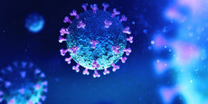 Коронавирусът хитро избягва вродения имунитет
